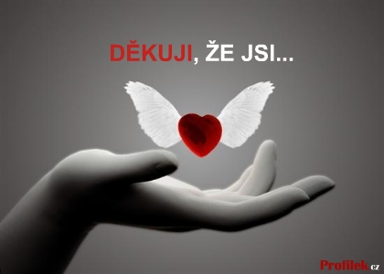 dekuji-ze-jsi.jpg